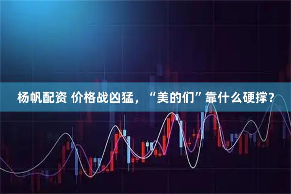 杨帆配资 价格战凶猛，“美的们”靠什么硬撑？