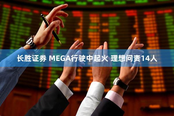 长胜证券 MEGA行驶中起火 理想问责14人