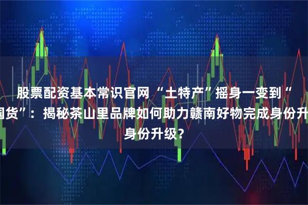 股票配资基本常识官网 “土特产”摇身一变到“新国货”：揭秘茶山里品牌如何助力赣南好物完成身份升级？